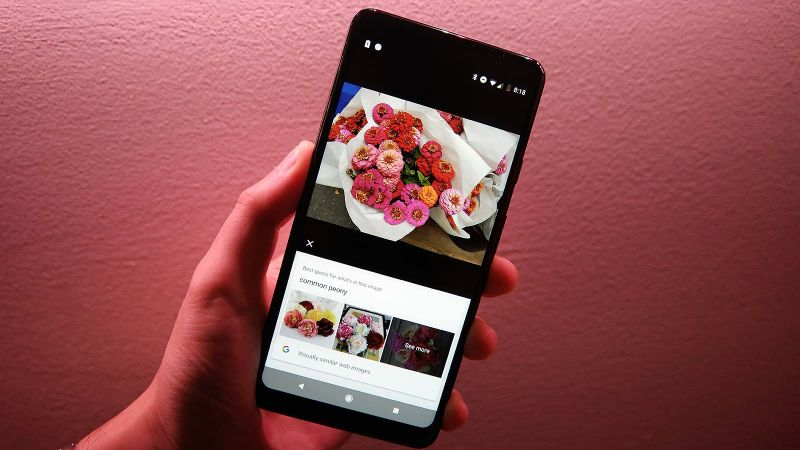 Google Lens puede ser muy preciso.